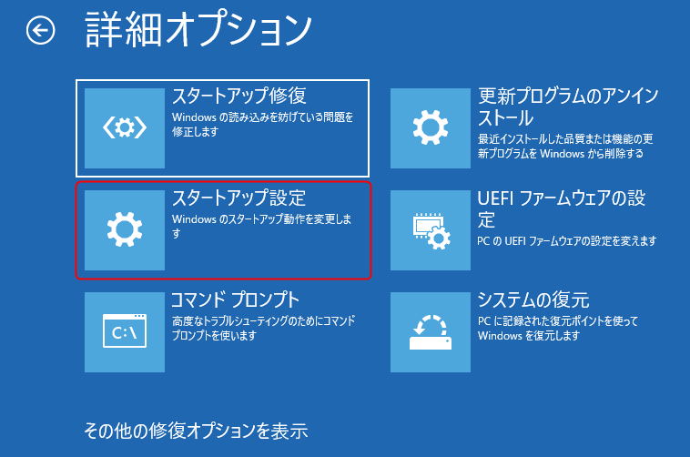 詳細オプション